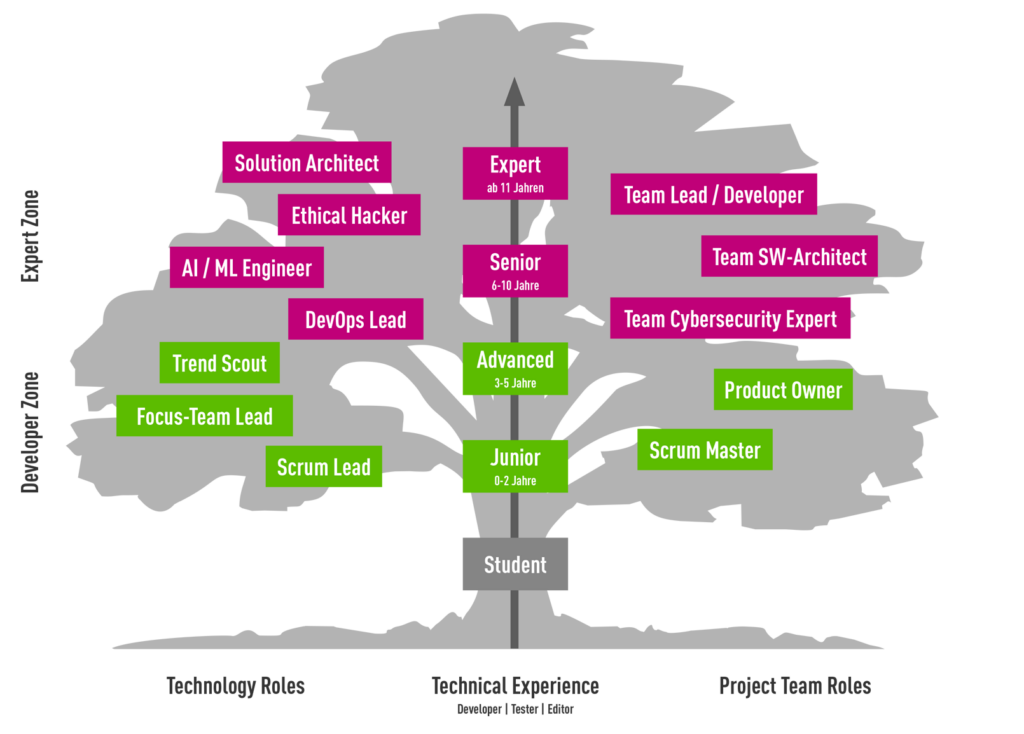 Technische und Projekt Team Rollen bei AUNOVIS als Entwicklungsbaum